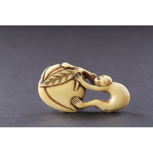 Japanese Carved Ivory Netsuke of a Monkey Climbing on a Peach